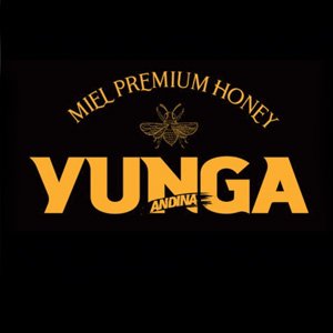 Yunga Andina