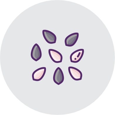 QUINOA / SEMILLAS